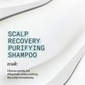 Nioxin Scalp Recovery System Purifying Shampoo 200ml Alternative Image