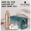 Schwarzkopf BLONDME All Blondes Light Gift Bag Alternative Image