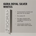 Schwarzkopf Igora Royal Absolutes Permanent Hair Colour - 60ml Alternative Image