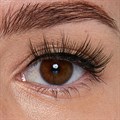 Eyelash Emporium False Strip Lashes Alternative Image