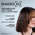 Redken Shades EQ Demi-Permanent Bonder Inside 60ml Alternative Image