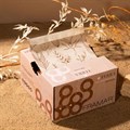 Framar Neutrals Terra Pop Up Hair Foil (500 Sheets) Alternative Image