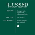 Biolage Strength Recovery Conditioner 236ml Alternative Image