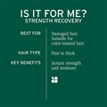Biolage Strength Recovery Repairing Spray 250ml Alternative Image