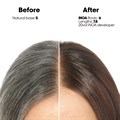 L'Oréal Professionnel INOA Permanent Hair Colour - 60ml Alternative Image