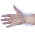 Agenda Disposable Clear Polythene Gloves - 100 Pack Alternative Image