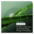 Biolage Hydrasource Shampoo Refill 500ml Alternative Image