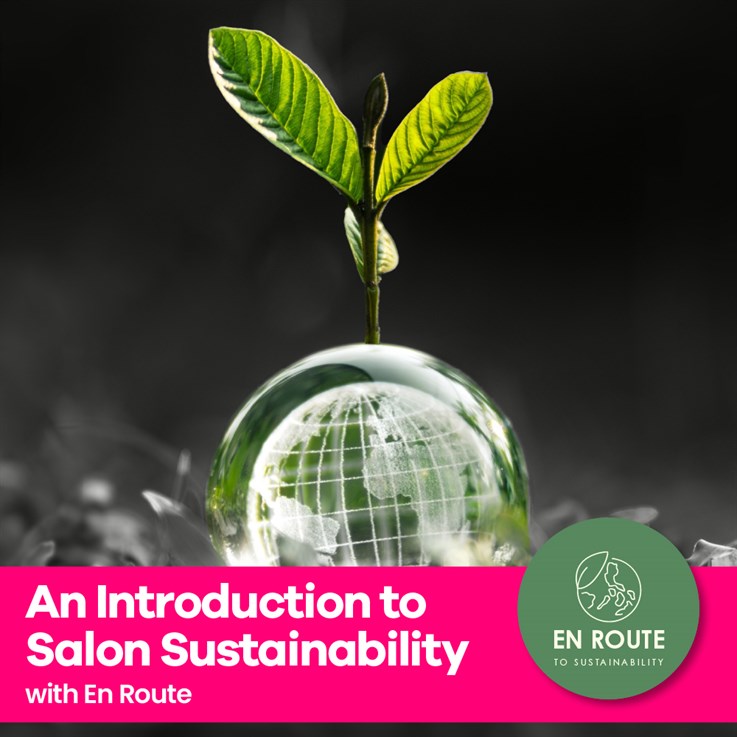 An Introduction to salon sustainability
