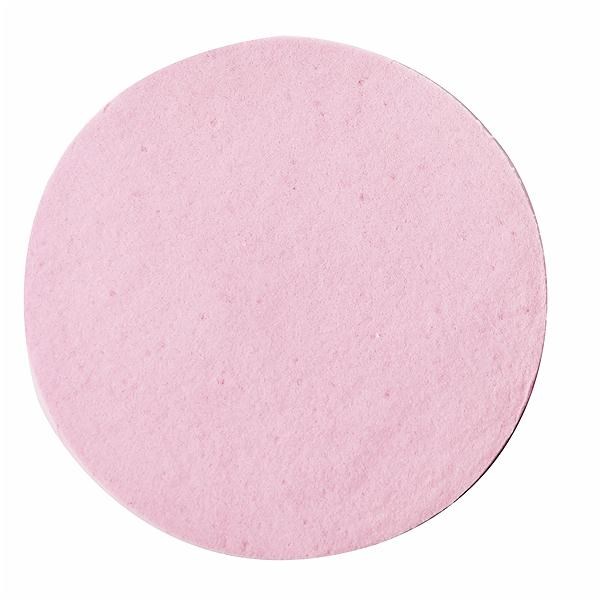 Large Pink Sponge