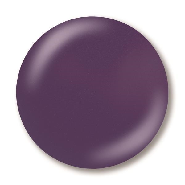 NSI Secrets Removable Gel Lie To Me 6g