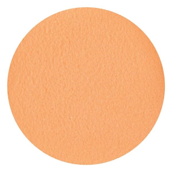 NSI Secrets Shades Powder In The Hot Seat 5g