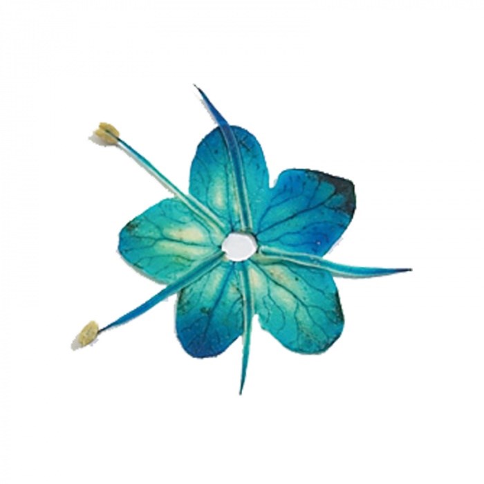 NSI Dried Flower Blue Violet