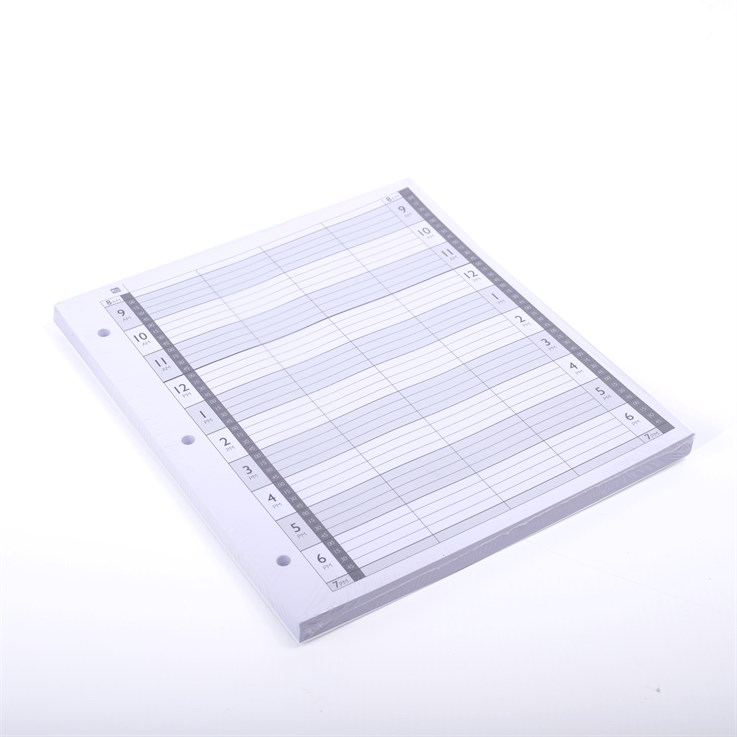 Agenda Loose Leaf Refill Pages 4 Column - 3 Holes 100pcs