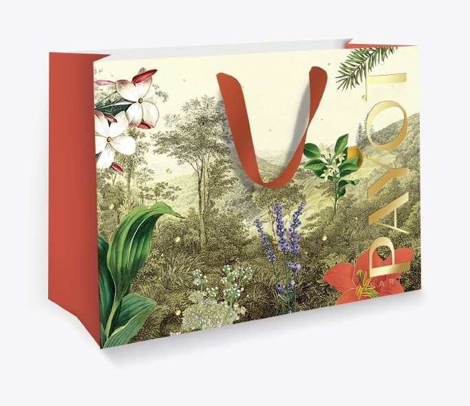 PAYOT 2023 Xmas Paper Bag - Pack of 10