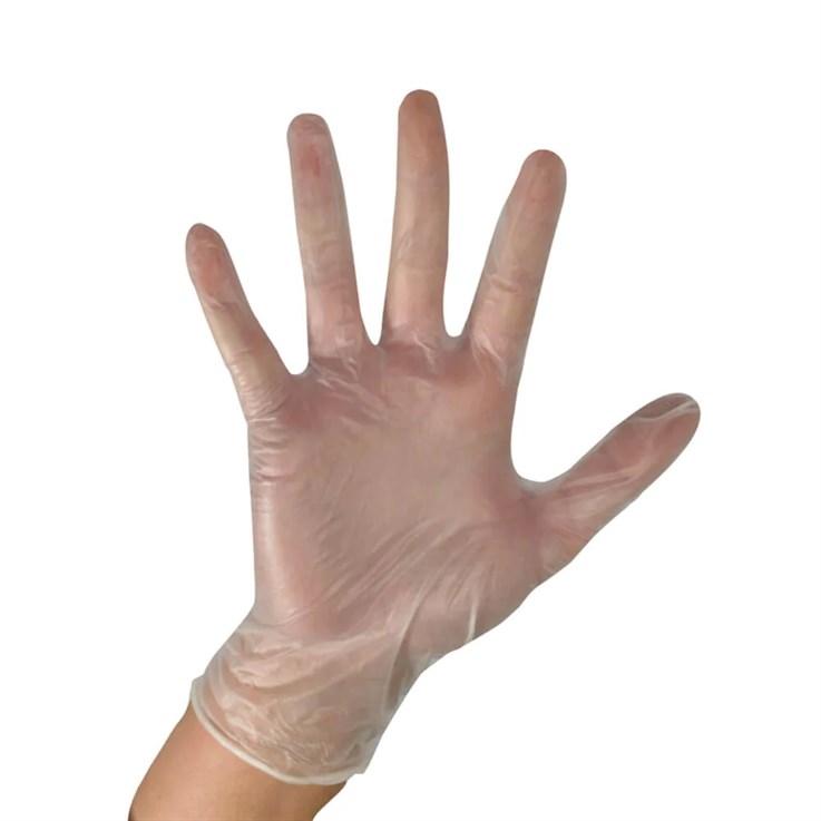 Vinyl Powder Free Gloves Clear 100s SMALL (100)