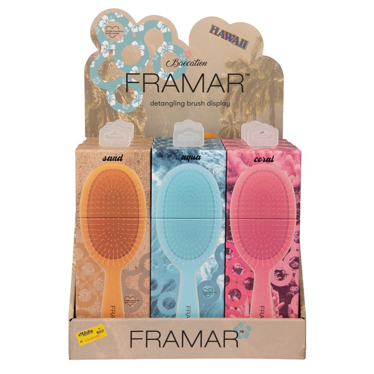 Framar Detangle Brush Display 9pc Baecation