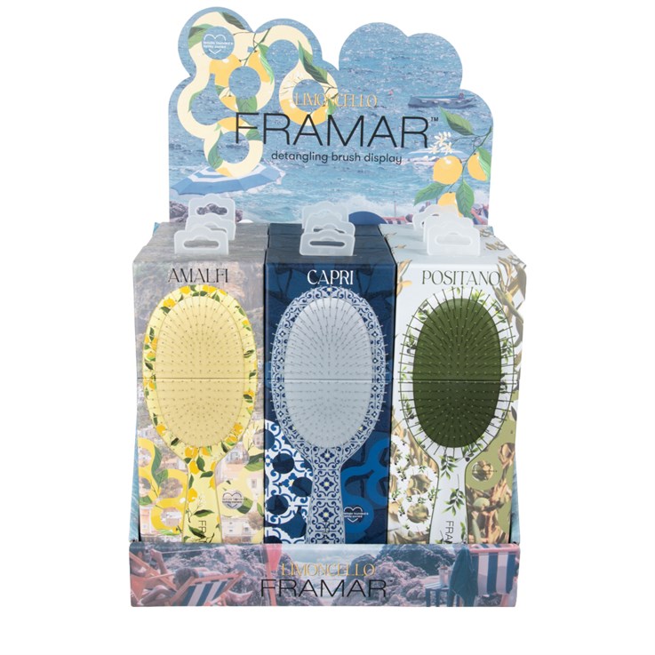 Limoncello 9PC Detangle Brush Display