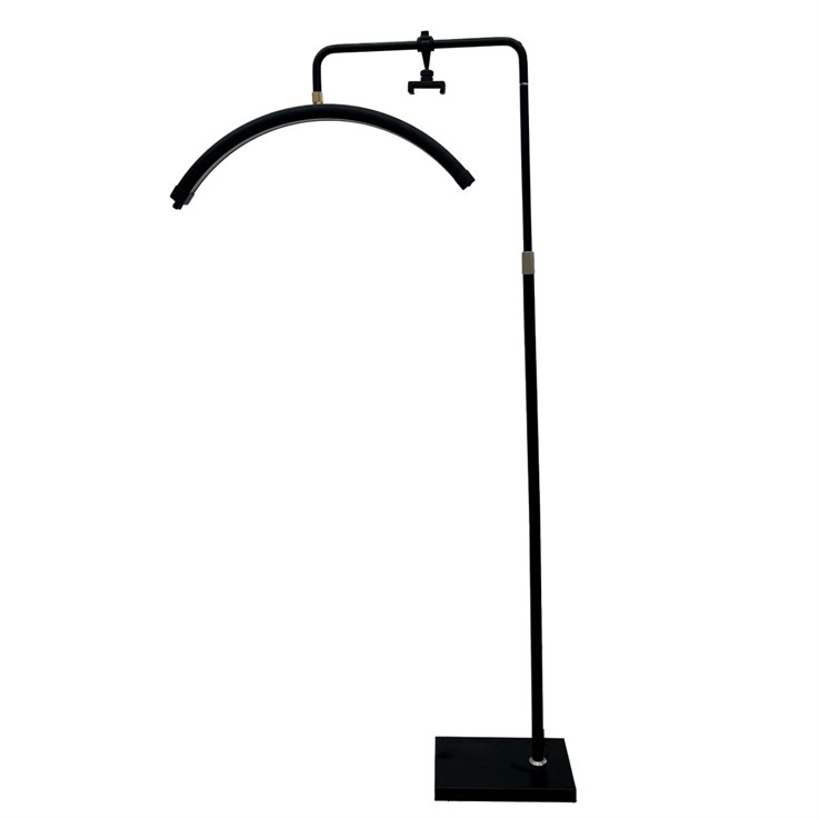 Scorpion Black LED Standing Moon Light