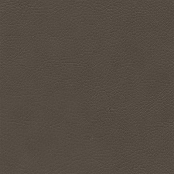 REM Fabric C Cinder