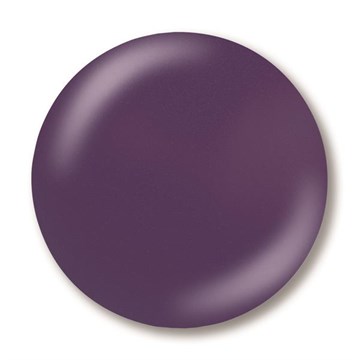 NSI Secrets Removable Gel Lie To Me 6g