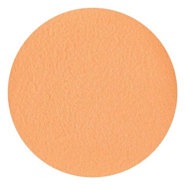 NSI Secrets Shades Powder In The Hot Seat 5g