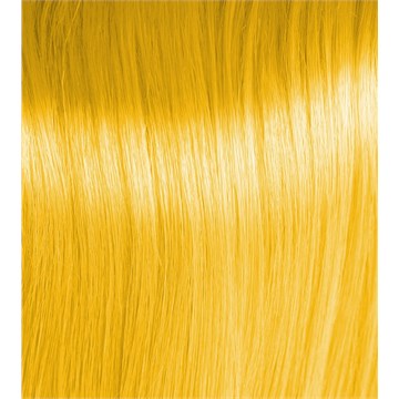 NXT Yellow Intensifier#D