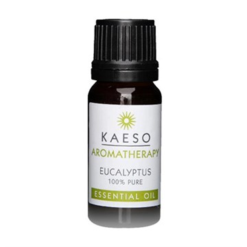 Kaseo Essential Oil Eucalyptus 50ml