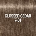 BLONDME Glow Toner GlossedCedar 60ml