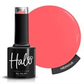 Halo 8ml Hibiscus - Summer Nights
