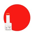 Gelluv - Hema Free Watermelon Sugar