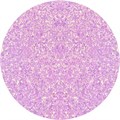 Gelluv - Hema Free Lavender 8ml