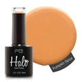 Halo 8ml Pumpkin Spice
