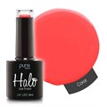 Halo 8ml Coral