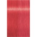 Indola Color Style Mousse Red 200ml