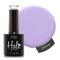 Halo 8ml Dreamer