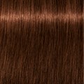 Igora Color 10 5-7 Light Brown Copper