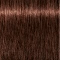Igora Color 10 5-68 Light Brown Chocolate Red
