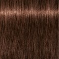 Igora Royal 5-6 Light Brown Chocolate 60ml