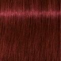 Igora Royal 5-88 Light Brown Red Extra 60ml