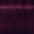Igora Royal 5-99 Light Brown Violet Extra 60ml