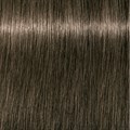 Igora Royal 6-1 Dark Blonde Cendre 60ml