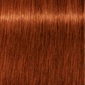 Igora Royal 6-77 Dark Blonde Copper Extra 60ml