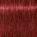 Igora Royal 6-88 Dark Blonde Red Extra 60ml