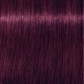 Igora Royal 6-99 Dark Blonde Violet Extra 60ml