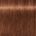 Igora Royal 7-57 Medium Blonde Gold Copper 60ml