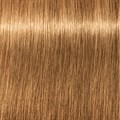 Igora Royal 8-55 Light Blonde Gold Extra 60ml