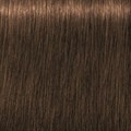 IR Absolutes Light Blonde Chocolate Nat