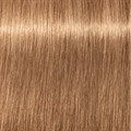 Igora Royal 8-65 Light Blonde Chocolate Gold 60ml