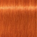 Igora Royal 8-77 Light Blonde Copper Extra 60ml
