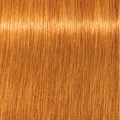 Igora Royal 9-7 Extra Light Blonde Copper 60ml